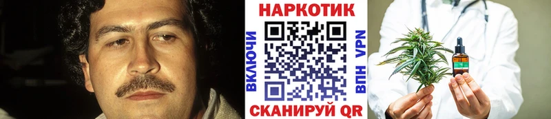 ЭКСТАЗИ Щигры