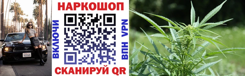 Какие есть наркотики Щигры Каннабис  Альфа ПВП  Cocaine  Гашиш  АМФ  Мефедрон 