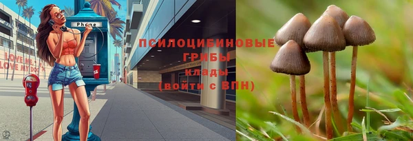 амф Зеленокумск