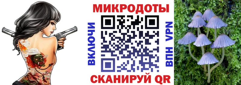 Галлюциногенные грибы ЛСД маркетплейс Telegram Щигры